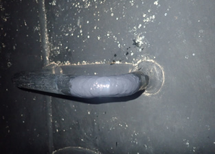 復水器関係補修施工事例画像